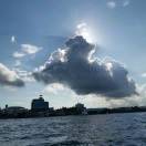 抖音运营_高威