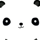 熊猫科技(此号不收款)