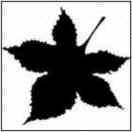 f186980t's Avatar
