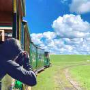 螺旋升天小乌龟