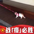 丸子&丸子