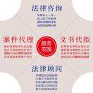 法律服务咨询代理顾问