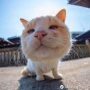 得儿一得儿飘