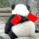 大洋游俠??