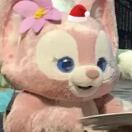 小乌龟小乌龟头像