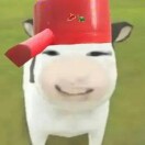 CNyiidan member profile picture