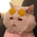 WH