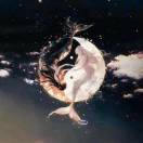 路川的头像-藏宝楼源码网