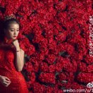 瞬间摄影