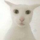 View user_pw3jbctsbafw183d6726's Profile