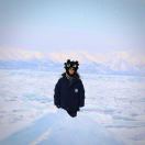 昕科的头像-熵减岛