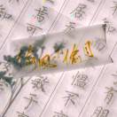 偷风不偷月的头像