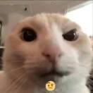 无敌之暗黑霸王龙