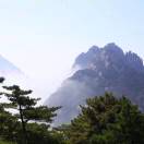 Dong的头像-cok论坛 - AGREE动漫游戏