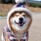陈先生的头像