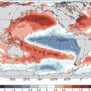 陈志华的头像-熵减岛