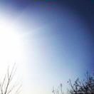 寄你欢颜的头像 