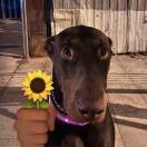 눈_눈的头像-长游分享网