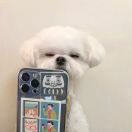 null转租&房东直租