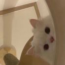 ʚRɞ