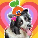 111hlbt的头像-听书迷