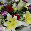 用户79059923的头像-医学电子书