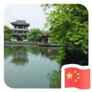 王D