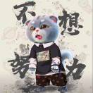 用户11705002