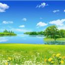 Find Ensuite to rent in Sydney