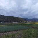 雍春林的头像-侠隐阁源码