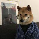 董大帅
