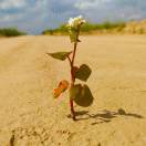 黄草塬文化传媒