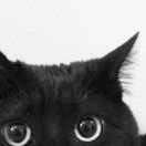 Chen
