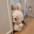 u客直谈实名认证杨先生