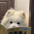 洛杉矶(加利福尼亚州)求租