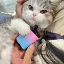 A朋友圈禁封拒绝加好友