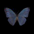 Flat91, Nyland Court,Naomi street 转租&房东直租