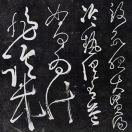 青山老农的头像-小燕分享网