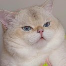 阅读使我快乐的头像-听书迷