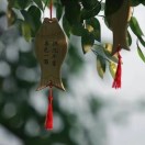 陆陆山风的钢琴谱