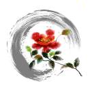擁抱陽光
