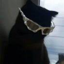 看我装唐阴他一手