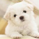 李?。ㄅψ屪约哼^得更好）