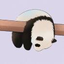Andy.Hu头像
