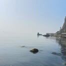 张新&四季青无花果农场