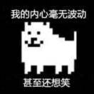 Vega转租