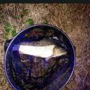 文体公园～漂移大叔