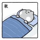 笨鸟先行-棉花糖网络安全资源站