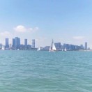 彭先生的头像