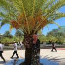 吃水不忘挖井人